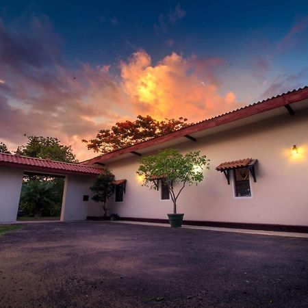キャンディー ザ ブエナビスタ キャンディ Bed & Breakfast エクステリア 写真